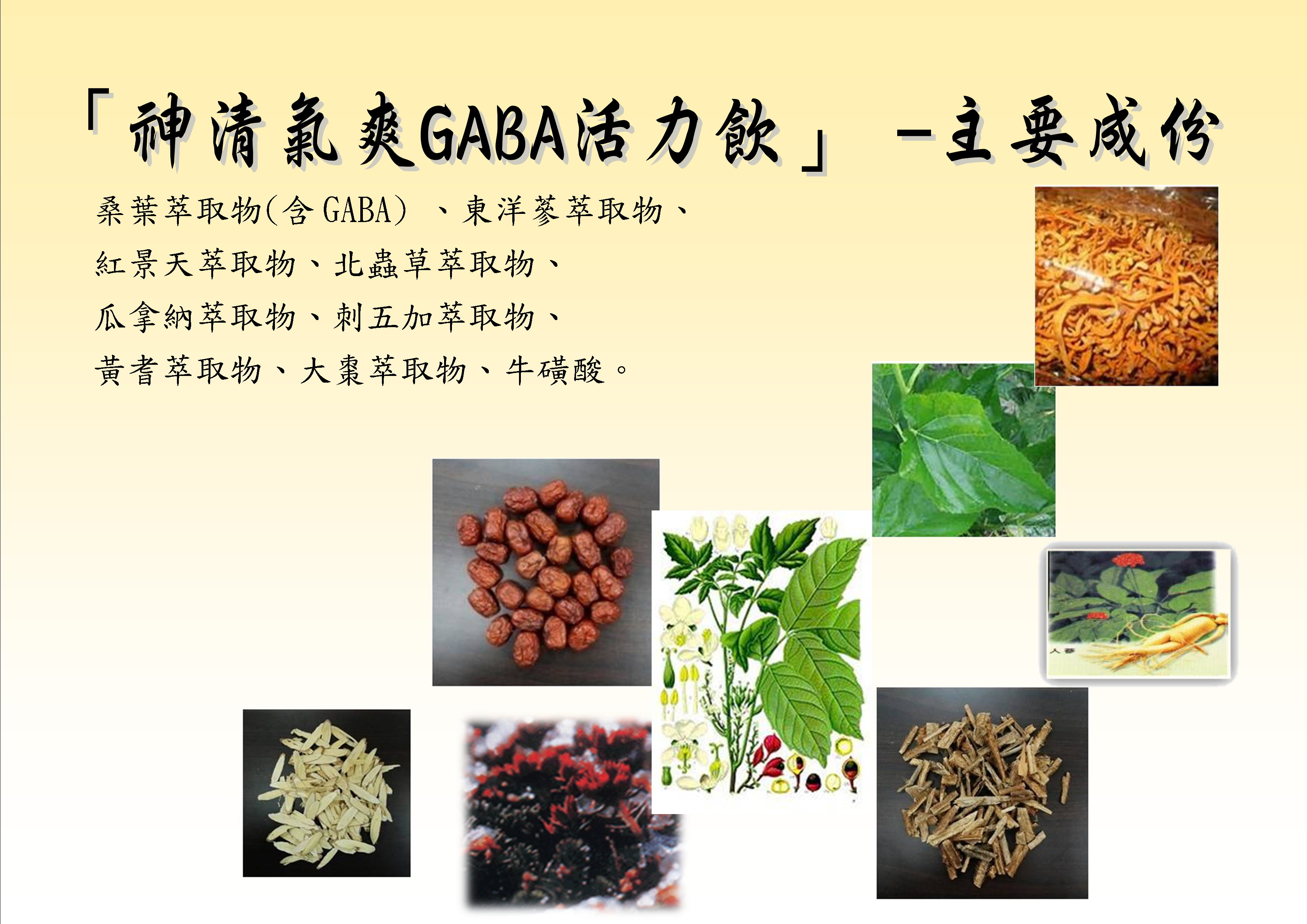 b 1GABA 